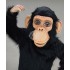 Maskottchen Chimpanse Kostüm (Werbefigur)