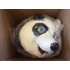 Kostüm Panda Maskottchen 2 (Hochwertig)