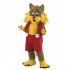 Maskottchen Katze 11