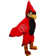 Maskottchen Roter Kardinal Vogel Kostüm 2 (Werbefigur)