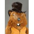 Kostüm Biber Maskottchen 6 (Hochwertig)