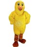 Maskottchen Huhn / Henne Kostüm 5 (Werbefigur)