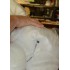 Verleih Kostüm Eisbär