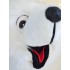 Verleih Kostüm Eisbär