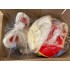 Verleih Kostüm Hase 12