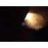 Verleih Kostüm Maikäfer