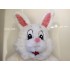 Verleih Kostüm Hase mit Zylinder