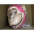Chimpanse Maskottchen Kostüm 1 (Professionell)