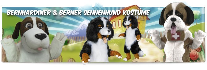 Bernhardiner-Sennenhunde