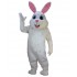Hasen Maskottchen Kostüm 5 (Professionell)