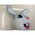 Hasen Maskottchen Kostüm 10 (Professionell)
