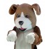 Hund Beagle Maskottchen Kostüm 5 (Professionell)