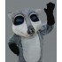 Waschbär Maskottchen Kostüm 3 (Professionell)