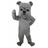 Kostüm Hund Bulldogge Maskottchen 9 (Professionell)