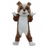 Kostüm Hund Bulldogge Maskottchen 12 (Professionell)