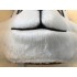 Streifenhörnchen Maskottchen Kostüm 1 (Professionell)
